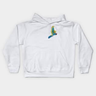 Macaw Parrot Kids Hoodie